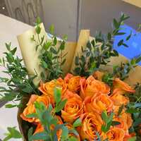 https://images.plurk.com/1lQqMgG9tGOgTGxG39eiqd.jpg