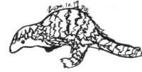 https://images.plurk.com/1lQtFzX6TGTtED66ccA3HC.png