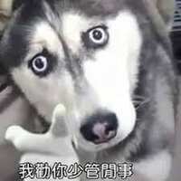 https://images.plurk.com/1lXpHOImml6B7LuvsPWkf9.png