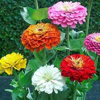 https://images.plurk.com/1lZFa5Xbxha314BWzLTFdL.jpg