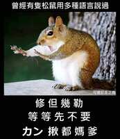 https://images.plurk.com/1lbI0netWvagAZYKsPn9g8.jpg