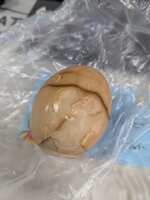 https://images.plurk.com/1lckwBzMhUYKbCJmTQoBcu.jpg