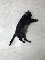 https://images.plurk.com/1leYLykEtzXPqEO6lPyU0E.jpg