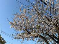 https://images.plurk.com/1lg9SG3dlGs187t3e8pW7T.jpg