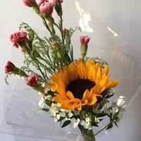 https://images.plurk.com/1lt7O7NnxanyAbkU6eJtPN.jpg