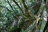 https://images.plurk.com/1lzLV5IgwbNF1eRWS1fXMe.jpg