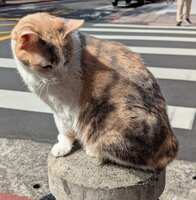 https://images.plurk.com/1m2UadwhDc7A5C3THxkrY5.jpg