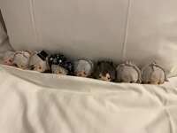https://images.plurk.com/1mV41etjmsN10DWzH1ptUP.jpg