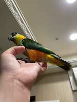https://images.plurk.com/1mWNZAL1VokxWITrFWAIsO.jpg