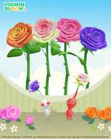 https://images.plurk.com/1milm8mXWYcYIM3NOb21aC.png