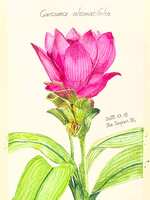 https://images.plurk.com/1ml3Ir8OunqfnZ3fAnuBho.jpg