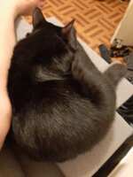 https://images.plurk.com/1mpCVwZxSmuy1L81C4Vr5E.jpg