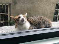 https://images.plurk.com/1mpZGrCztVqjjAonEuQnUd.jpg
