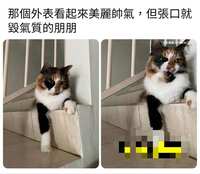 https://images.plurk.com/1mqkVFeEY74aAe9SPYrhjF.jpg
