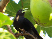 https://images.plurk.com/1mwl4E464j2eccaSVhy5tq.jpg