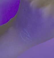 https://images.plurk.com/1mz5jovMulmEHmWsMpk3xs.jpg