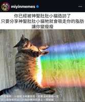 https://images.plurk.com/1n35uMHpfZsqiW7MlC43dF.png