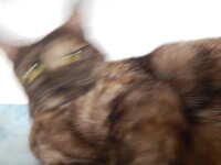 https://images.plurk.com/1nAJmgGj5aazpksWDjU9xV.jpg