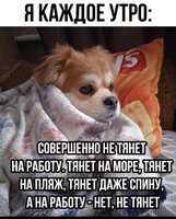 https://images.plurk.com/1nBRxaig5aKJncaXXv6wHi.jpg