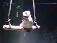 https://images.plurk.com/1nGaJ6Cddpb2zntcWQcpll.jpg