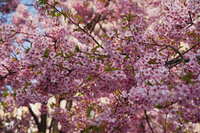 https://images.plurk.com/1nHpmhH4eC9nOd1ckr9HdM.jpg
