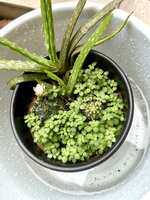 https://images.plurk.com/1nRVeToc4uZv495NnT8p6a.jpg