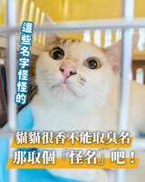 https://images.plurk.com/1nT9P10IMbhTxKawhUCFtc.png