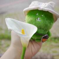 https://images.plurk.com/1nVOZ6t8o0SVXOq6Q8MoHg.jpg