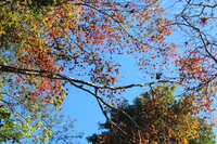 https://images.plurk.com/1nVorLFmMeeV6q6cAnY8pZ.jpg