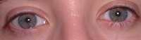 https://images.plurk.com/1nWBzpW1HVpZfAOdYhNBPE.jpg