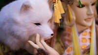 https://images.plurk.com/1nc6Mbu6SOcJXQtOI5xVX.jpg