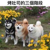 https://images.plurk.com/1ne1aWUc1PPCumg8oAZXq.png