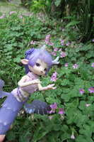 https://images.plurk.com/1nhMpOlorHRVb7kCuABGJ2.jpg