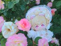 https://images.plurk.com/1nk1a07uno1OXr5ZTXHqks.jpg