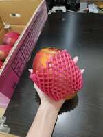 https://images.plurk.com/1npekfXkv8BRFAZuqtkWUR.jpg