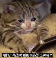 https://images.plurk.com/1o0DDNhIxx1hBi6CH2FgRA.jpg