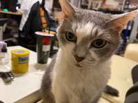 https://images.plurk.com/1o0PXANzUME2iA3VLyG6KZ.jpg