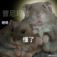 https://images.plurk.com/1o3lImSsDszO6B1WNkRsR6.jpg