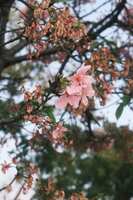 https://images.plurk.com/1o4LpFbeYr7TbRDWinXL9C.jpg