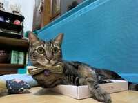 https://images.plurk.com/1oFS4c5pV9txXLBEeWBM56.jpg