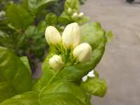 https://images.plurk.com/1oOQXhoZKbbuQW1gtEmnd6.jpg