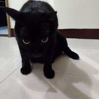 https://images.plurk.com/1oU0hCtX6TiRSmmfvA9LsR.jpg