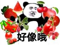 https://images.plurk.com/1obOJEwjyrFb5PaEVELJc2.png