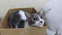https://images.plurk.com/1oeP2blpb0BnBLk5yE9i8l.png