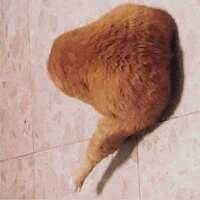 https://images.plurk.com/1ogf5NzTWHuEjYRtNaCPpn.jpg