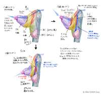 https://images.plurk.com/1oix2frdWRoa9ektJk3QtE.png