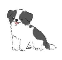 https://images.plurk.com/1olbJAE5fTwSzsIT2rmWKQ.png