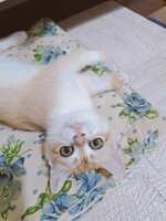 https://images.plurk.com/1oox2QaeJ2lry1Iacq8ADp.jpg