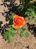 https://images.plurk.com/1ouXMDcnLbLo65K2qdggCE.jpg