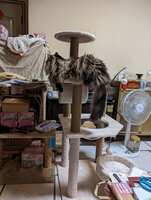 https://images.plurk.com/1ow6XUepD0grO5tyNZEIjA.jpg